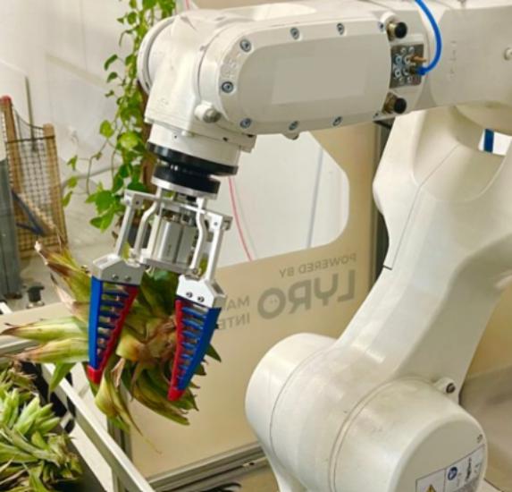 LYRO Robotics awarded nearly $800k grant for novelty and scalability